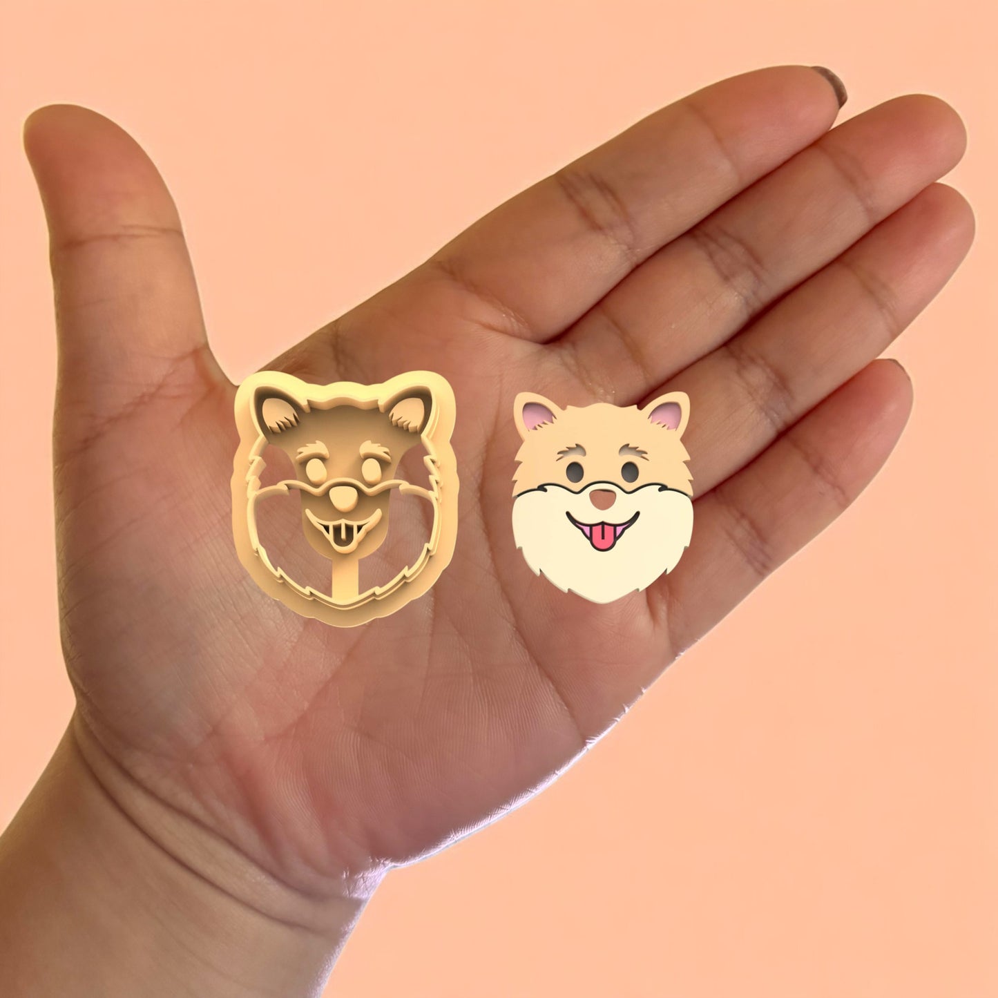 Pomeranian Dog D Polymer clay